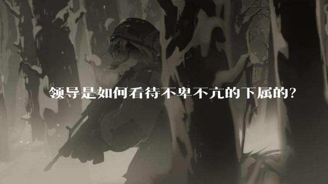 领导是如何看待不卑不亢的下属的？